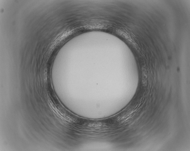 X0000057580631200510171708