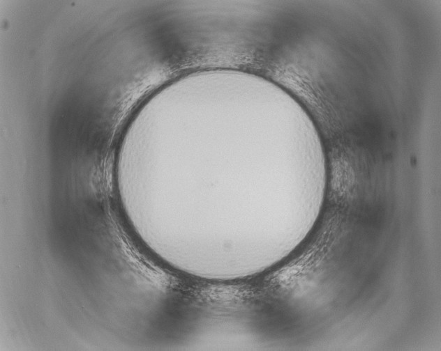 X0000057580632200510171708