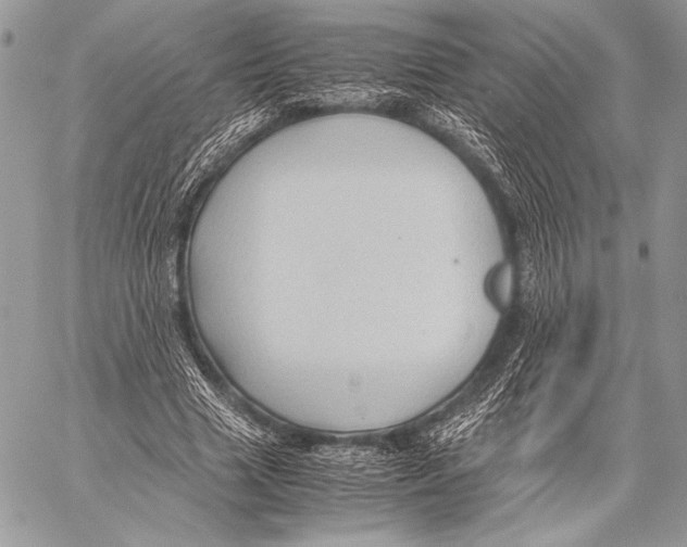 X0000057580633200510171708