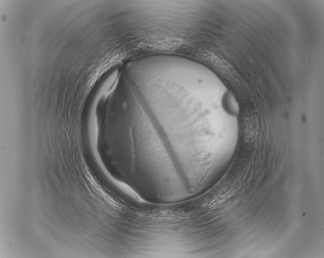 X0000057580634200510171708