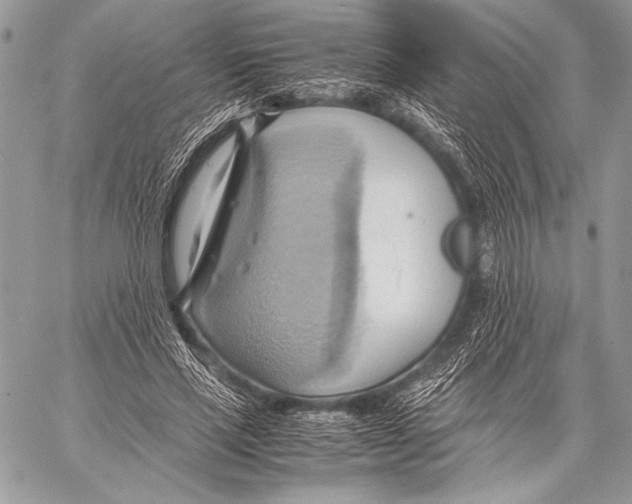 X0000057580637200510171708