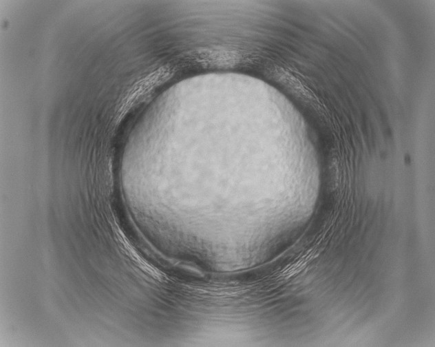 X0000057580638200510171708