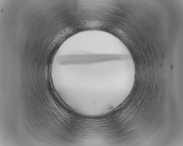 X0000057580640200510171708