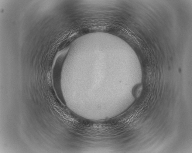 X0000057580641200510171709