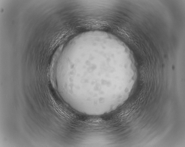 X0000057580642200510171709