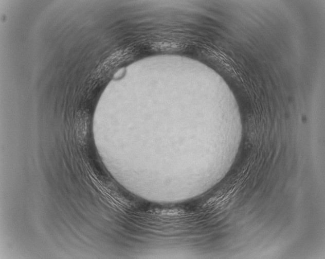 X0000057580645200510171709