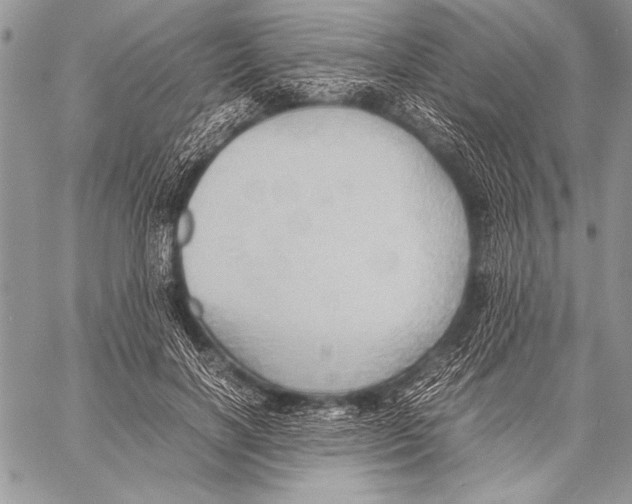 X0000057580646200510171709