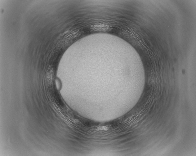 X0000057580647200510171709