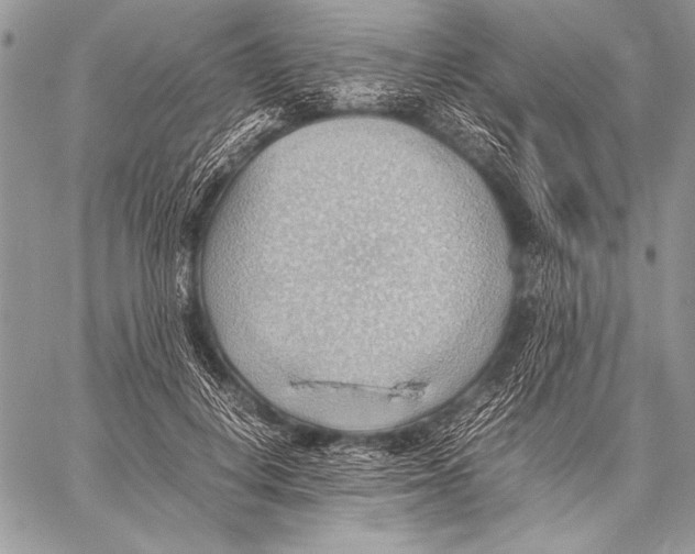 X0000057580648200510171709