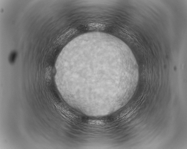 X0000057580649200510171709