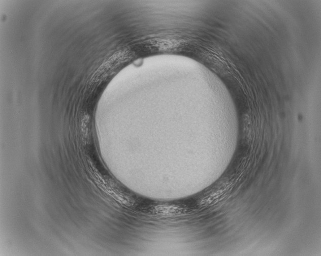 X0000057580650200510171709