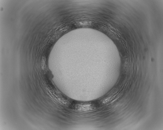 X0000057580651200510171709