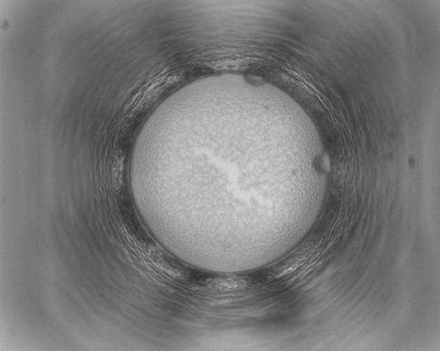 X0000057580652200510171709