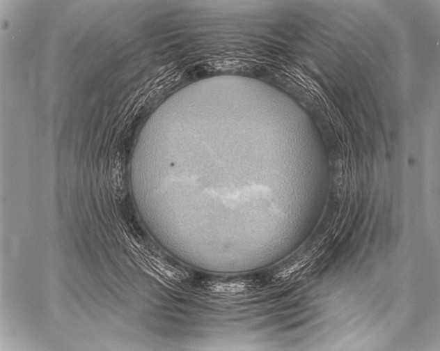 X0000057580653200510171709