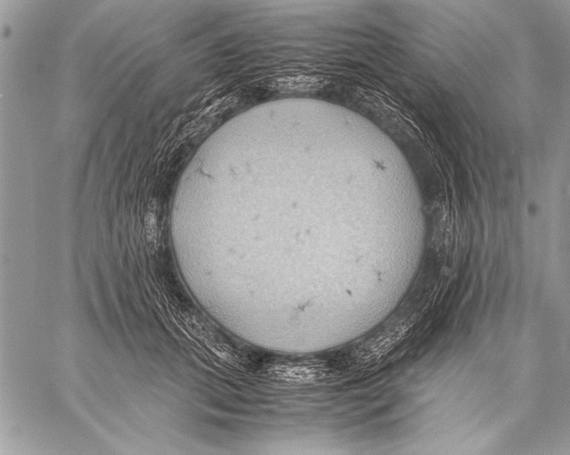 X0000057580655200510171709