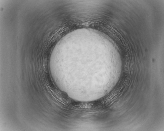 X0000057580656200510171709