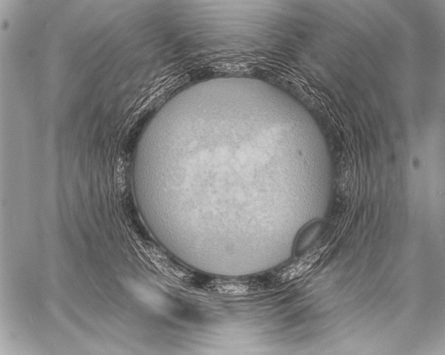 X0000057580658200510171709