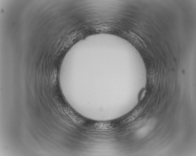 X0000057580660200510171709