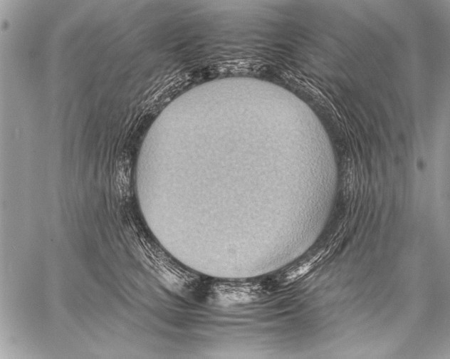 X0000057580661200510171709