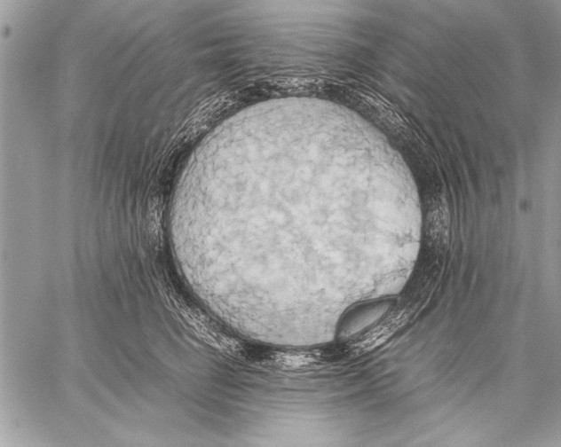 X0000057580662200510171709