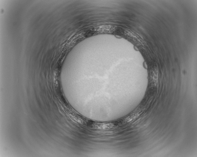 X0000057580663200510171709