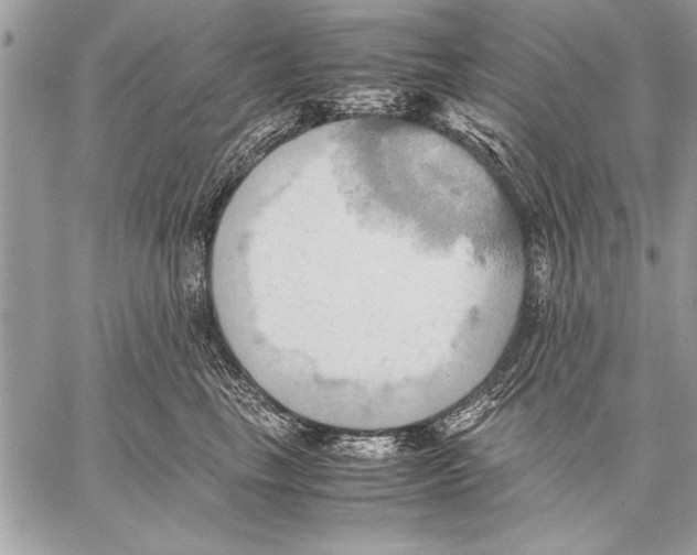 X0000057580665200510171709