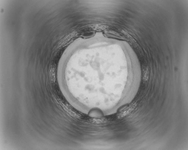 X0000057580666200510171709