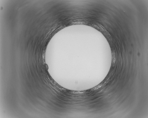 X0000057580669200510171709