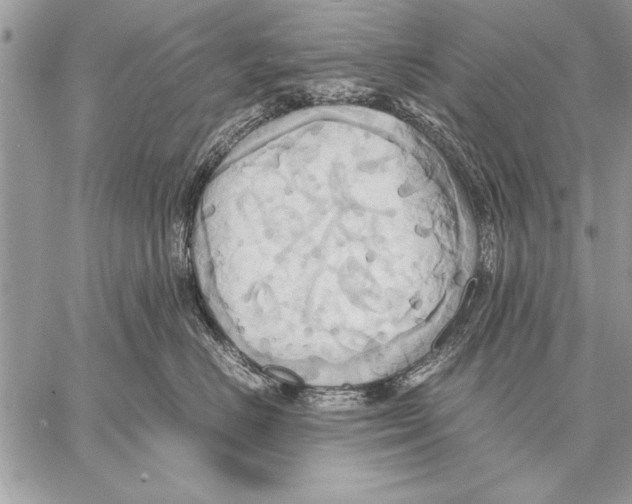 X0000057580670200510171709