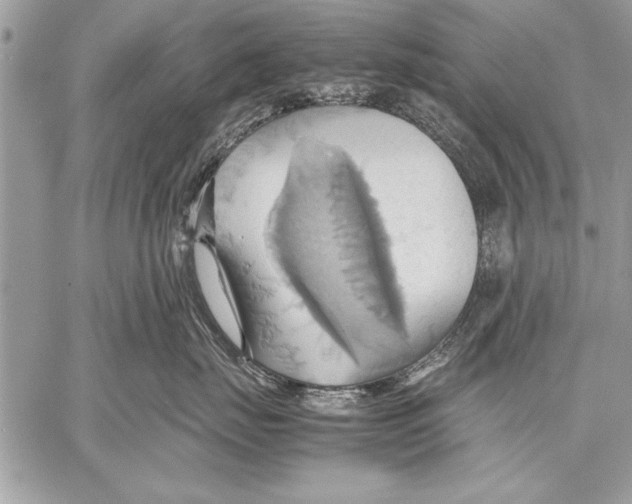 X0000057580671200510171709