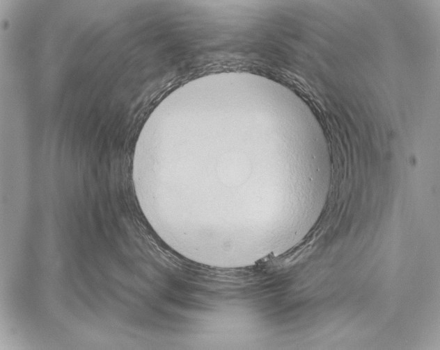 X0000057580672200510171709