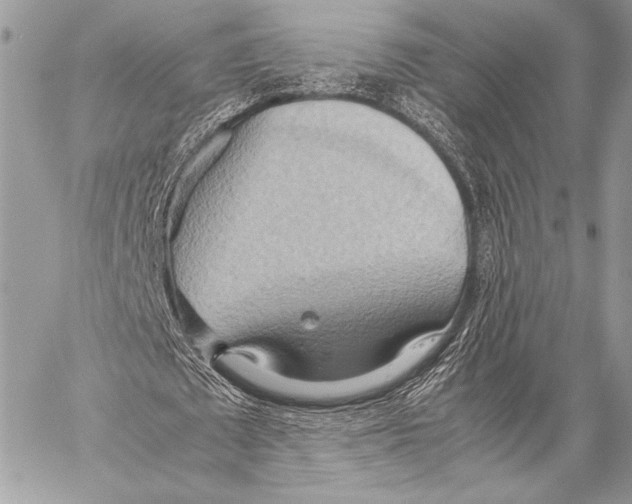 X0000057580673200510171708