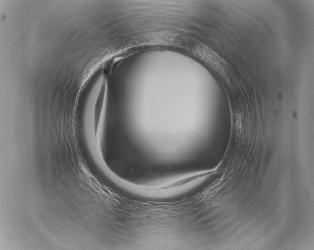 X0000057580676200510171708