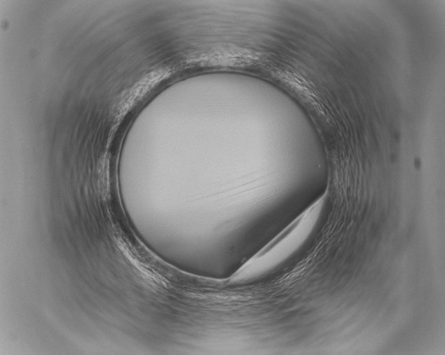 X0000057580678200510171708