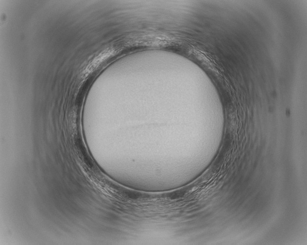 X0000057580679200510171708