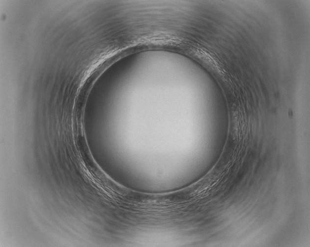 X0000057580680200510171708