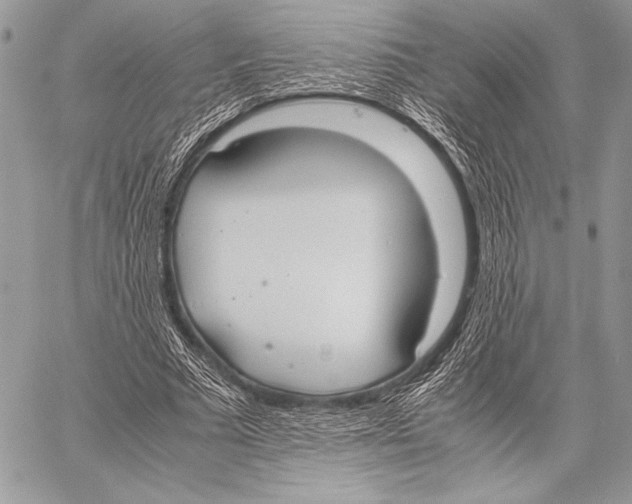 X0000057580681200510171708