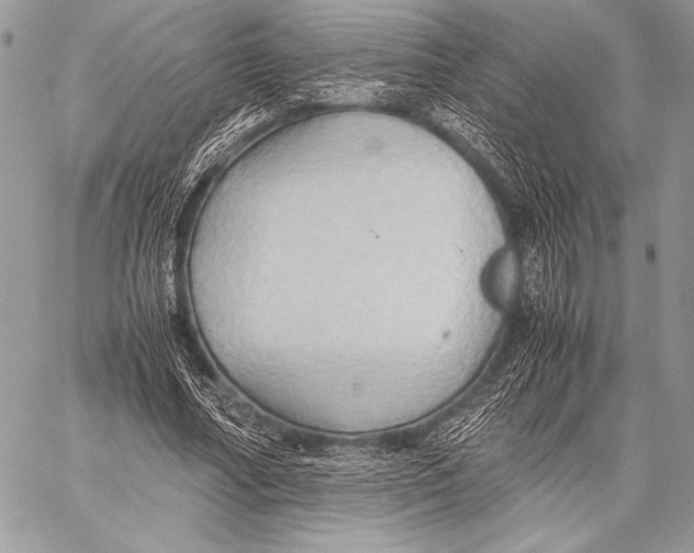 X0000057580682200510171708