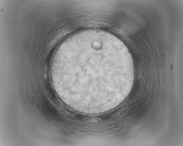 X0000057580683200510171708