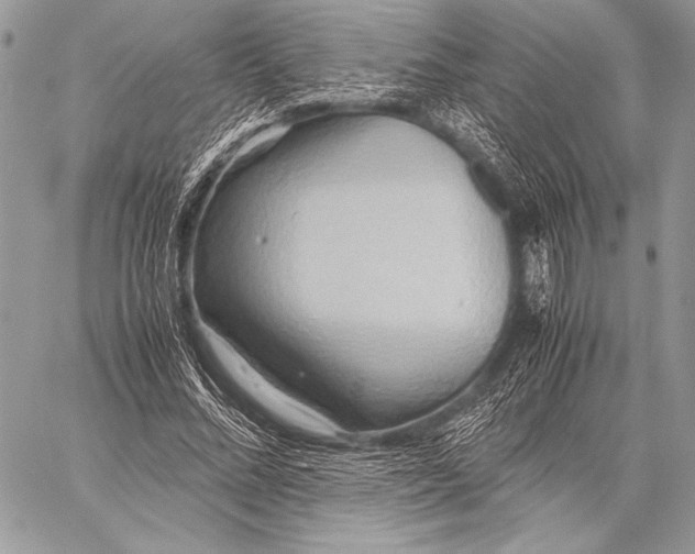 X0000057580684200510171708