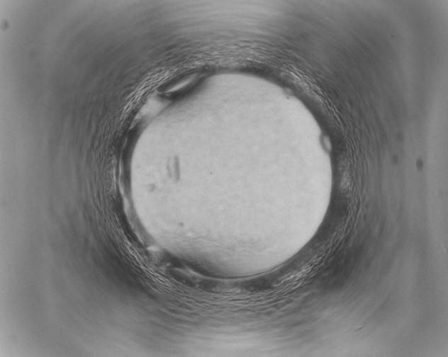 X0000057580685200510171708