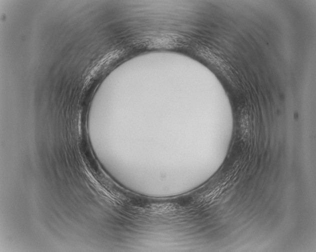 X0000057580686200510171708