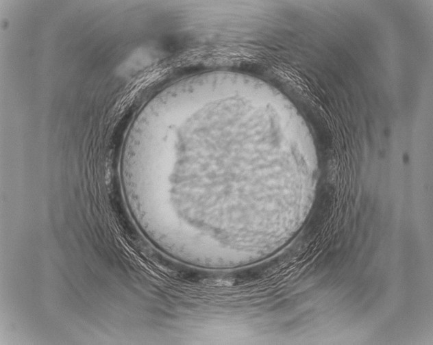 X0000057580687200510171708