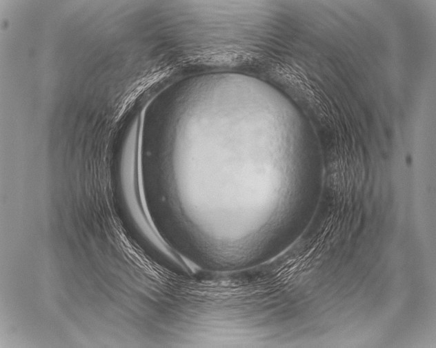 X0000057580688200510171708