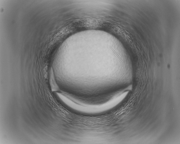 X0000057580689200510171708