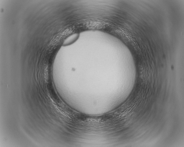 X0000057580690200510171708