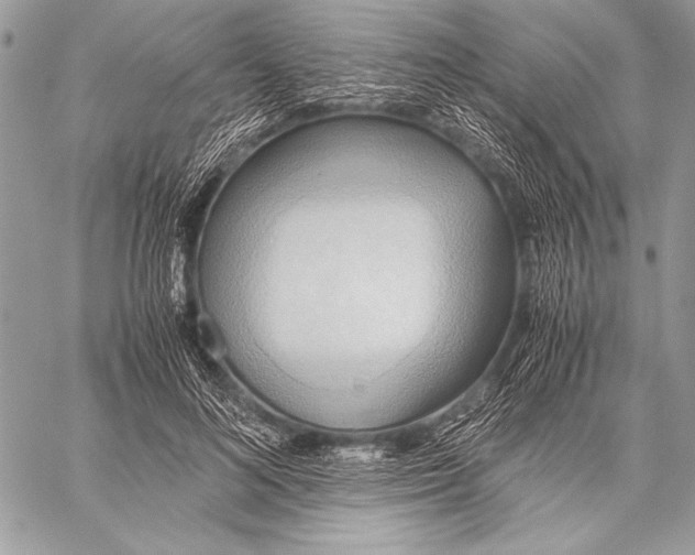 X0000057580692200510171708