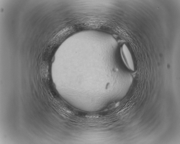 X0000057580693200510171708