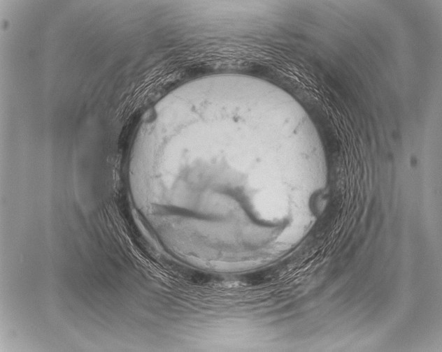 X0000057580695200510171708