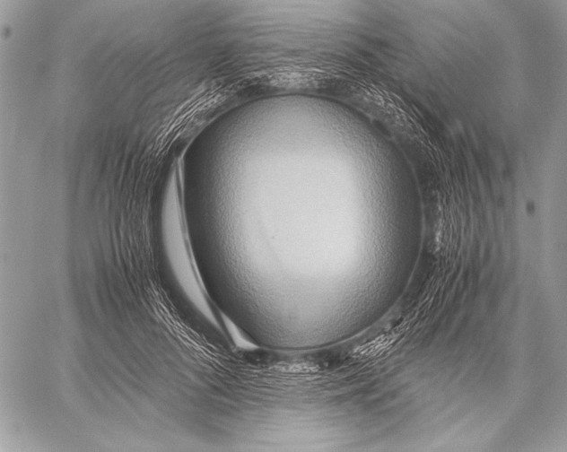 X0000057580696200510171708